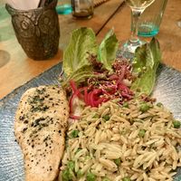   at no bones in Krakow