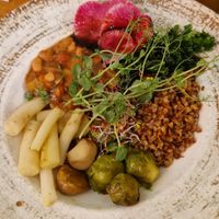  at no bones in Krakow