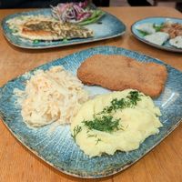  at no bones in Krakow