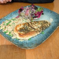  at no bones in Krakow