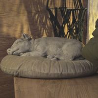  at no bones in Krakow