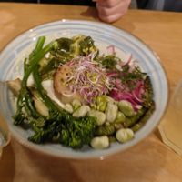  at no bones in Krakow