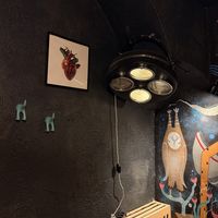   at no bones in Krakow