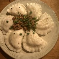 Potato and tofu pierogi   at no bones in Krakow