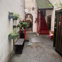  at no bones in Krakow