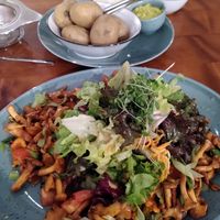 Mushroom salad and potato with miso sauce and guacamole at Kartoffelhaus in Freiburg