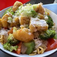 Tofu coconut curry noodles bowl   at Dr Noodles - Upperkirkgate in Aberdeen