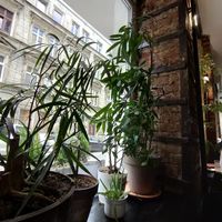  at Tajfun in Wroclaw