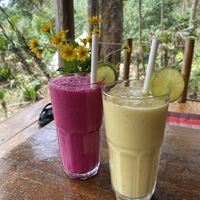 Smoothies (the dragon fruit with banana is the best one!)  at Robinson Bungalows in Sihanoukville