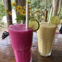 Fruit smoothies  at Robinson Bungalows in Sihanoukville