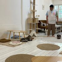   at Le Cattitude Cafe in Vientiane