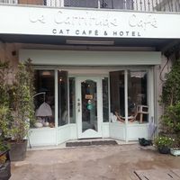 Outside at Le Cattitude Cafe in Vientiane