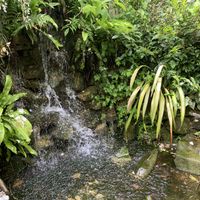 Sword at Whitlenge Tea Room and Gardens in Hartlebury