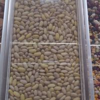  at Rainbow Grocery in San Francisco