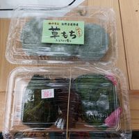 Vegan Mochi at Michinoeki in Tanabe