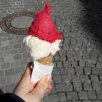 Buburuza vegan ice cream at Buburuza Eis in Steyr