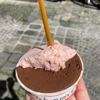 Schokoschock and Holunder-Minze-Rhabarber, both vegan at Buburuza Eis in Steyr