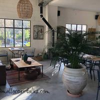 Lightflooded restaurant with vegan options at Es Taller in Valldemossa