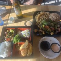   at Bachi in Charlotte