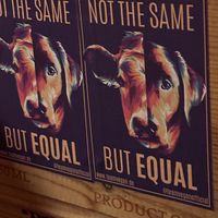   at Kuli Alma in Frankfurt