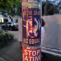 VEGAN ATTITUDE! at Kuli Alma in Frankfurt