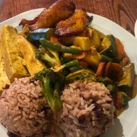 Coconut Curried Tofu with Vegetables (vegan) at Coconuts in Palo Alto