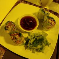Spring rolls di riso e verdure miste at Com Saigon in Florence