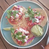 Tacos at Girdlers in Manly