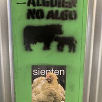 And small signs of the devotion of the owners here and there   at Guacamole in Montevideo