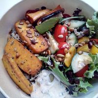 Wonderful Buddha Bowl at Dragonfly Bistro in Aberystwyth