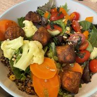 Amazing homemade falafels  at Dragonfly Bistro in Aberystwyth