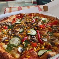 Gaja at Park Seventeen in Ilirska Bistrica