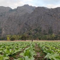  at Kong Lor Eco Lodge in Konglor