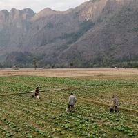  at Kong Lor Eco Lodge in Konglor
