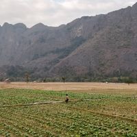  at Kong Lor Eco Lodge in Konglor