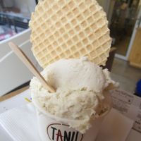 Rhubarb flavour. The waffle decoration is vegan too. at Tanu in Vina Del Mar