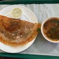 masala dosa  at Mint Indian Cuisine in Gainesville