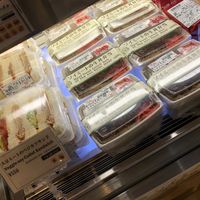 Veggie Soy Katsu Sandwich and Soy Meat Beef bowl at NRT - Tokyo Food Bar - T1 in Narita