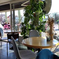 Big Plant at Aloha in Leiden