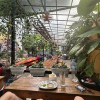   at Secret Garden in Cat Ba