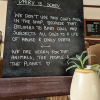  at Chapter One Coffee Shop in Edinburgh