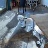   at Chapter One Coffee Shop in Edinburgh