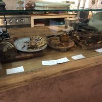 Sweet  at Plenty in The Hague