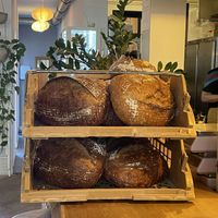   at Plenty in The Hague