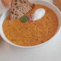  at Plenty in The Hague