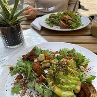 Baked Tempeh bread at Plenty in The Hague