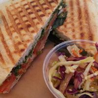 soyzilla panini at Seed Kitchen in Venice