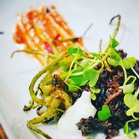 signature tapa at one of the restaurants, only available if you belong to the tour at Madrid Vegan Tours in Madrid