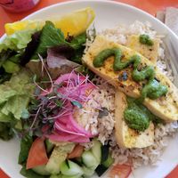 Tofu bowl on rice at Terra Veg in Klamath Falls