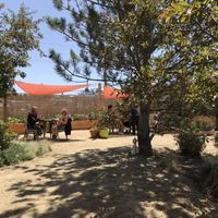 Tranquil outdoor seating respecting Covid distancing guidelines at Terra Veg in Klamath Falls